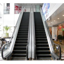 Slim Type Passenger Escalator